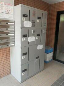 13/16 その他画像