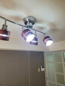 13/13 その他画像