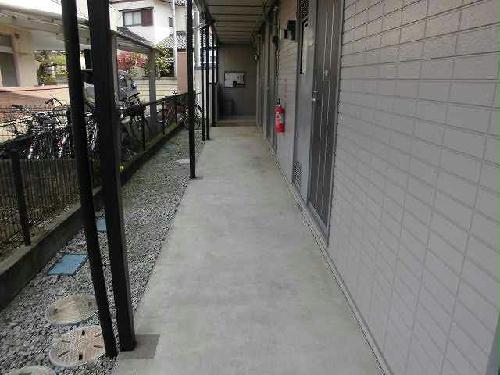 11/19 その他画像