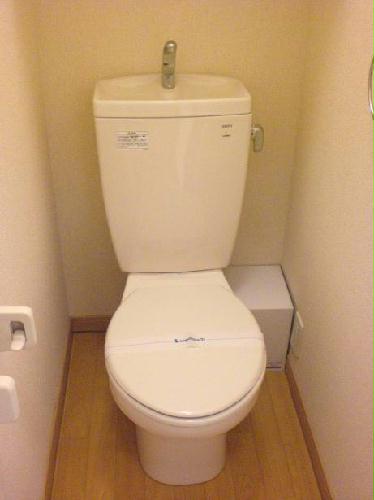 11/16 その他画像