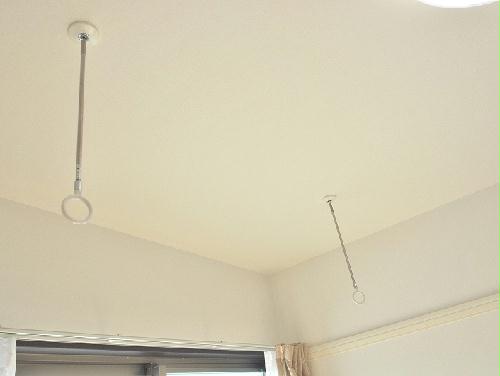 8/18 その他画像