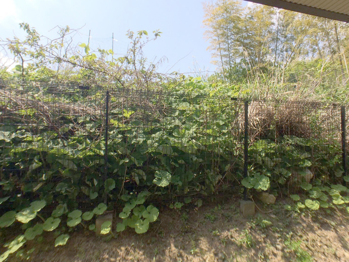 12/14 その他画像