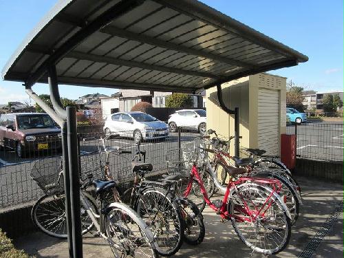 12/14 その他画像