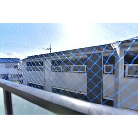 13/16 その他画像