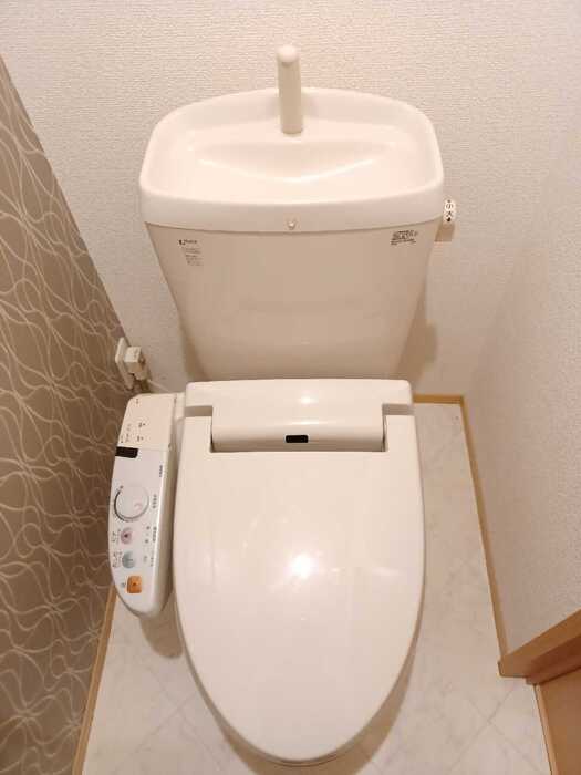 11/28 トイレ