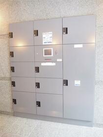 15/16 その他画像