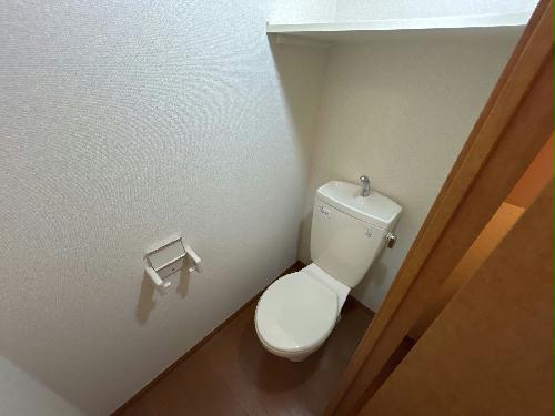 8/14 その他画像