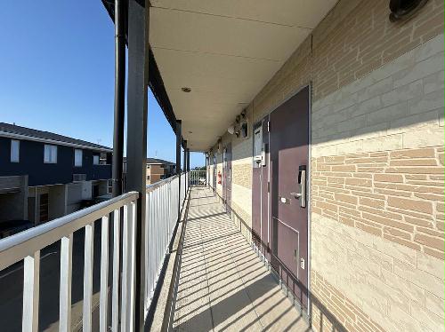 4/14 その他画像