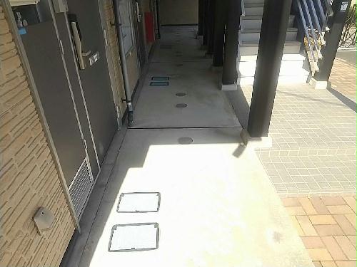 4/19 その他画像