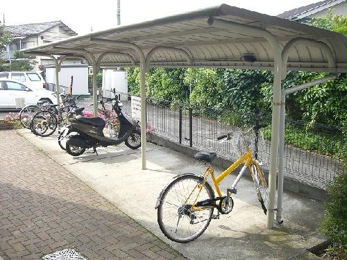 11/16 その他画像