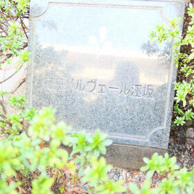 3/16 その他画像