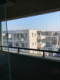 14/14 その他画像