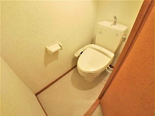 11/14 その他画像