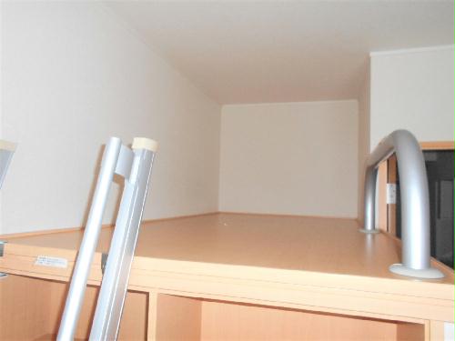 11/17 その他画像