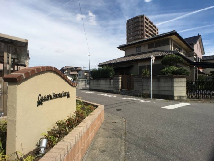 6/17 その他画像