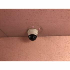 5/11 その他画像