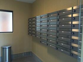 13/16 その他画像