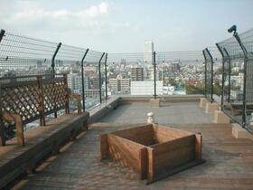 14/16 その他画像