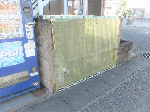 11/14 その他画像