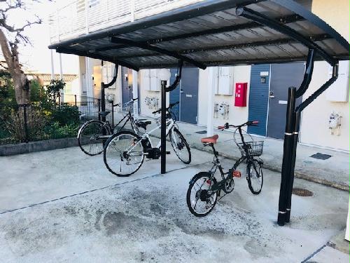 12/15 その他画像