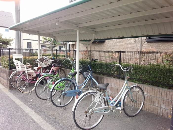 3/16 その他画像