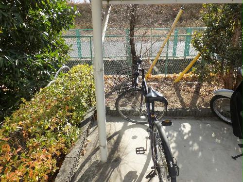 12/21 その他画像