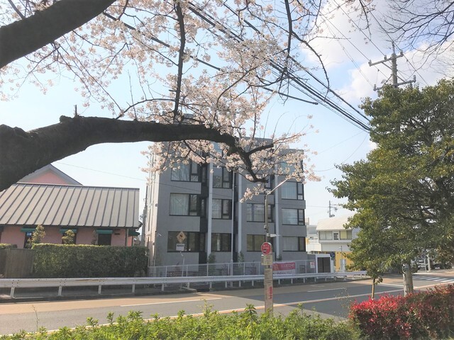1/2 外観