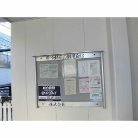 8/11 その他画像