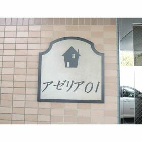 3/16 その他画像