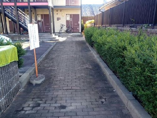 11/14 その他画像