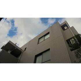 11/11 その他画像