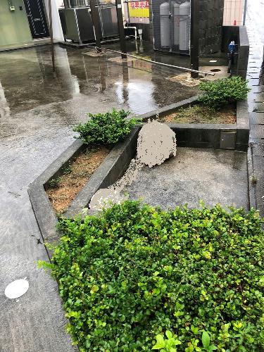 11/15 その他画像