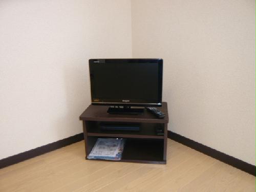 8/17 その他画像