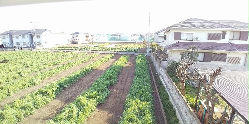 13/23 その他画像