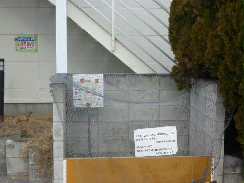 12/14 その他画像