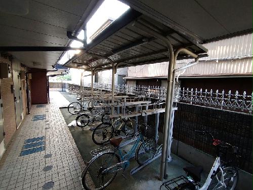 11/14 その他画像