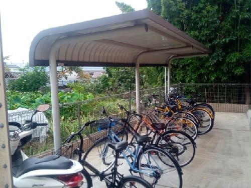 11/14 その他画像