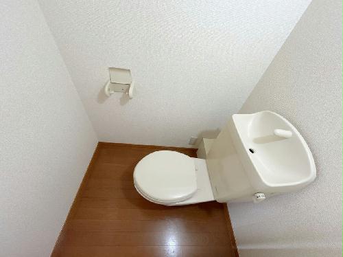 8/14 その他画像