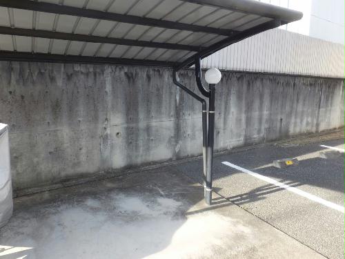 12/23 その他画像