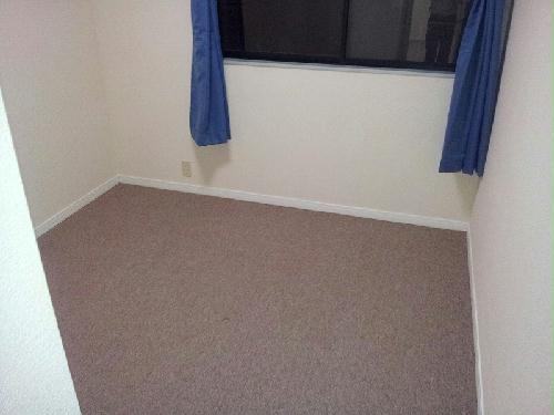 5/15 その他画像