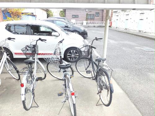 13/21 その他画像