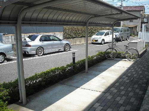 8/17 その他画像