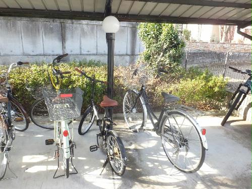 12/19 その他画像