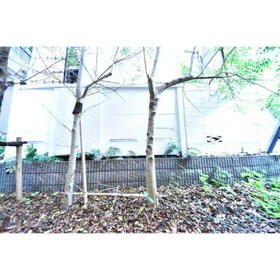 13/16 その他画像