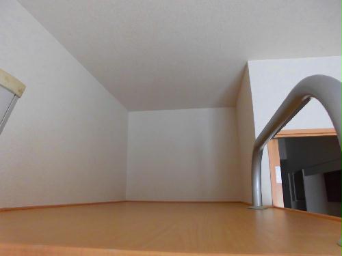 11/20 その他画像