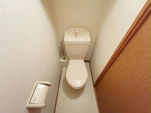 8/14 その他画像