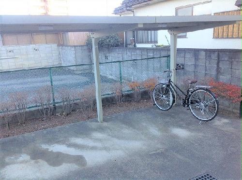 13/17 その他画像