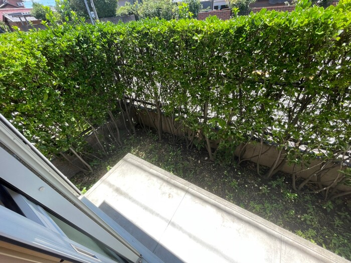 13/28 その他画像