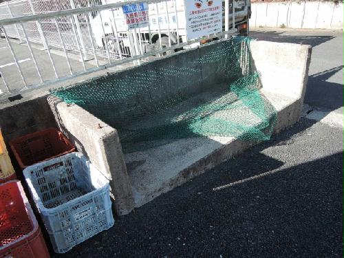 11/21 その他画像