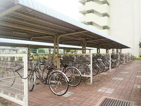 13/18 その他画像